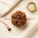 
                    
                      7 Mukhi Rudraksha (Lakshmi Rudraksha) for wealth and prosperity by Acharya Lavbhushan

                    
                  