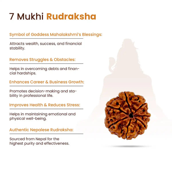 7 Mukhi Rudraksha - benefits sign