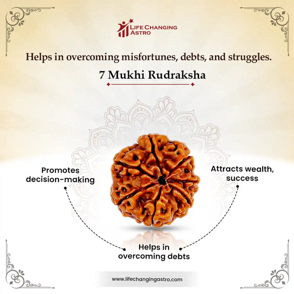 7 Mukhi Rudraksha - benefits