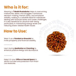 
                    
                      7 Mukhi Rudraksha (Lakshmi Rudraksha) for wealth and prosperity by Acharya Lavbhushan

                    
                  