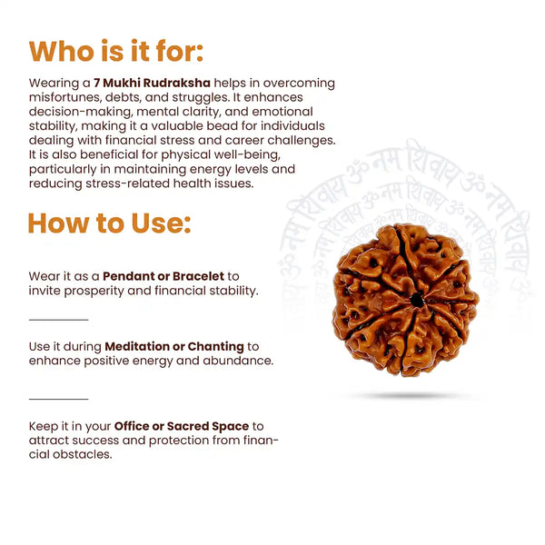 7 Mukhi Rudraksha - how to use