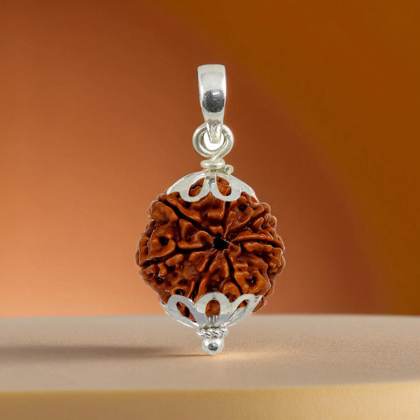 7 Mukhi Rudraksha with pendent