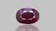 Natural Ruby (Manik) 2.01 Carats