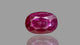 Natural Ruby (Manik) 3.00 Carats