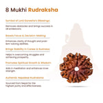 
                    
                      8 Mukhi Rudraksha (Ganesha Rudraksha) for obstacle removal by Acharya Lavbhushan

                    
                  