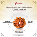 
                    
                      8 Mukhi Rudraksha (Ganesha Rudraksha) for obstacle removal by Acharya Lavbhushan

                    
                  