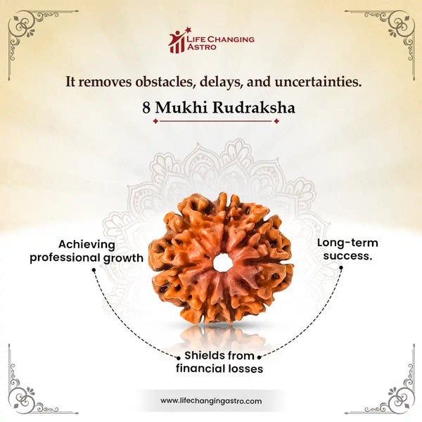 8 Mukhi Rudraksha-Benefits
