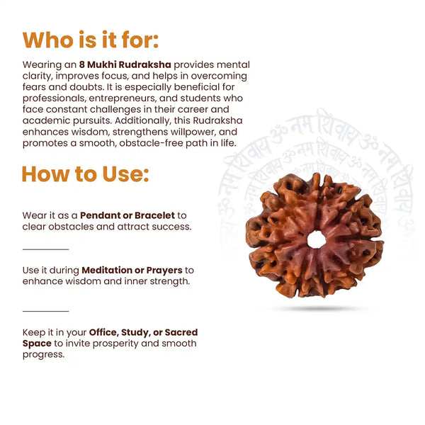 8 Mukhi Rudraksha-how to use