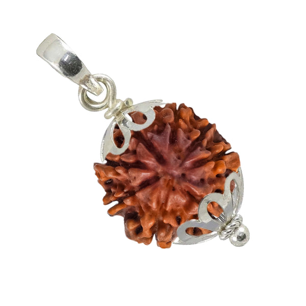8 Mukhi Rudraksha with pendent