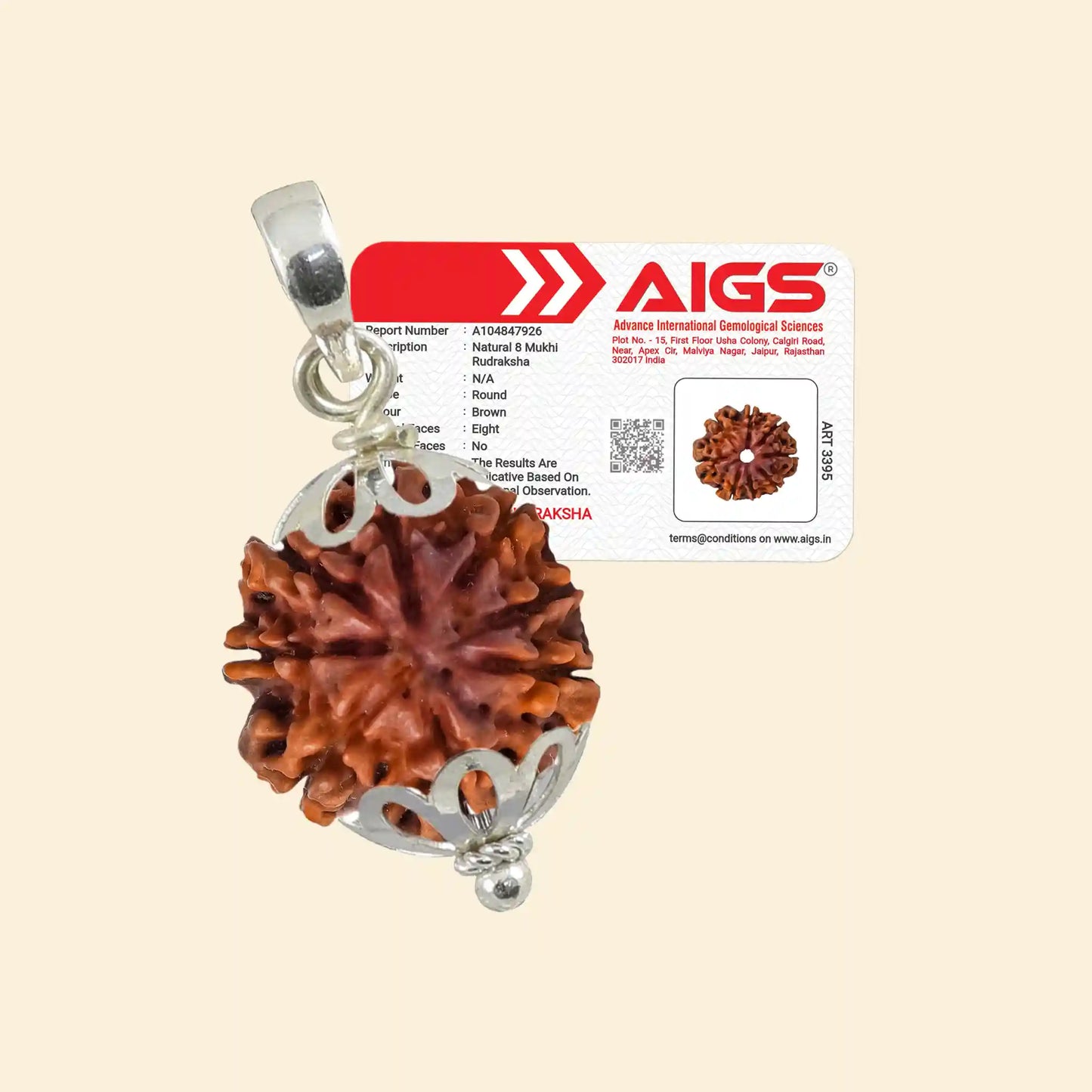 8 mukhi rudraksha acharya lavbhushan, ganesha rudraksha, obstacle delay symbol, shiva rudraksha bead, spiritual balance bead, vedic rudraksha, conscious living support, sacred rudraksha
