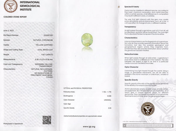 NATURAL PITAMBARI 4.87 CARATS - Media 5