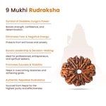
                    
                      9 Mukhi Rudraksha (Durga Rudraksha) for protection by Acharya Lavbhushan

                    
                  