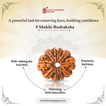 
                    
                      9 Mukhi Rudraksha (Durga Rudraksha) for protection by Acharya Lavbhushan

                    
                  