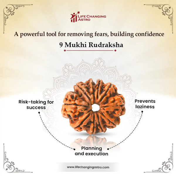 9 Mukhi Rudraksha_Benefits