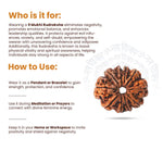 
                    
                      9 Mukhi Rudraksha (Durga Rudraksha) for protection by Acharya Lavbhushan

                    
                  
