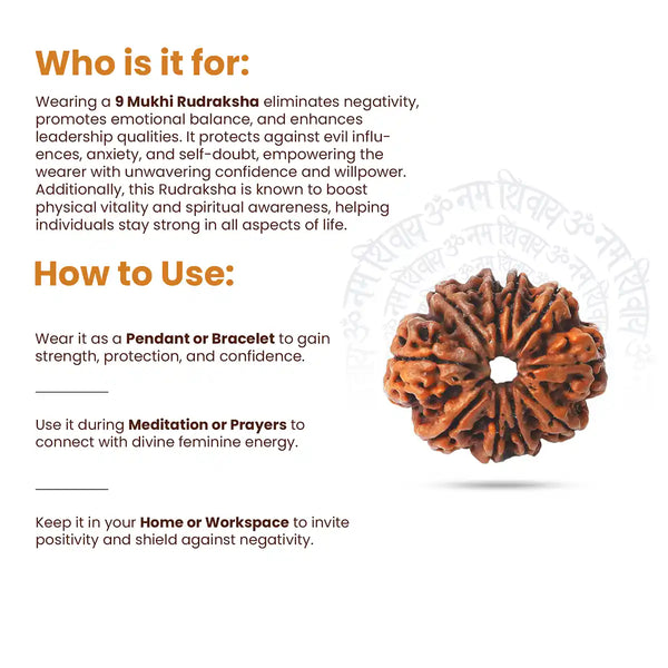 9 Mukhi Rudraksha-How to use
