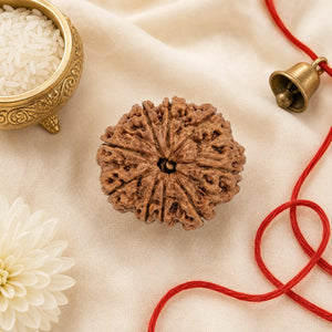 9 Mukhi Rudraksha (Nepali) – Natural Bead, Plain or with Silver Pendant