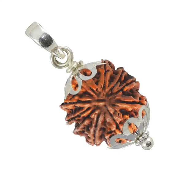 9 Mukhi Rudraksha-with pendent