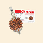 
                    
                      9 Mukhi Rudraksha (Durga Rudraksha) with Pendant and Certificate for protection by Acharya Lavbhushan

                    
                  