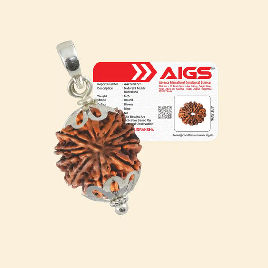 9 Mukhi Rudraksha (Durga Rudraksha) with Pendant and Certificate for protection by Acharya Lavbhushan
