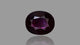 Natural Ruby (Manik) 2.37 Carats