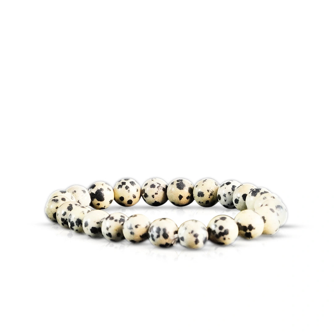 Bracelet for Fighter Plane / Will Plane – Dalmatian Jasper Bracelet