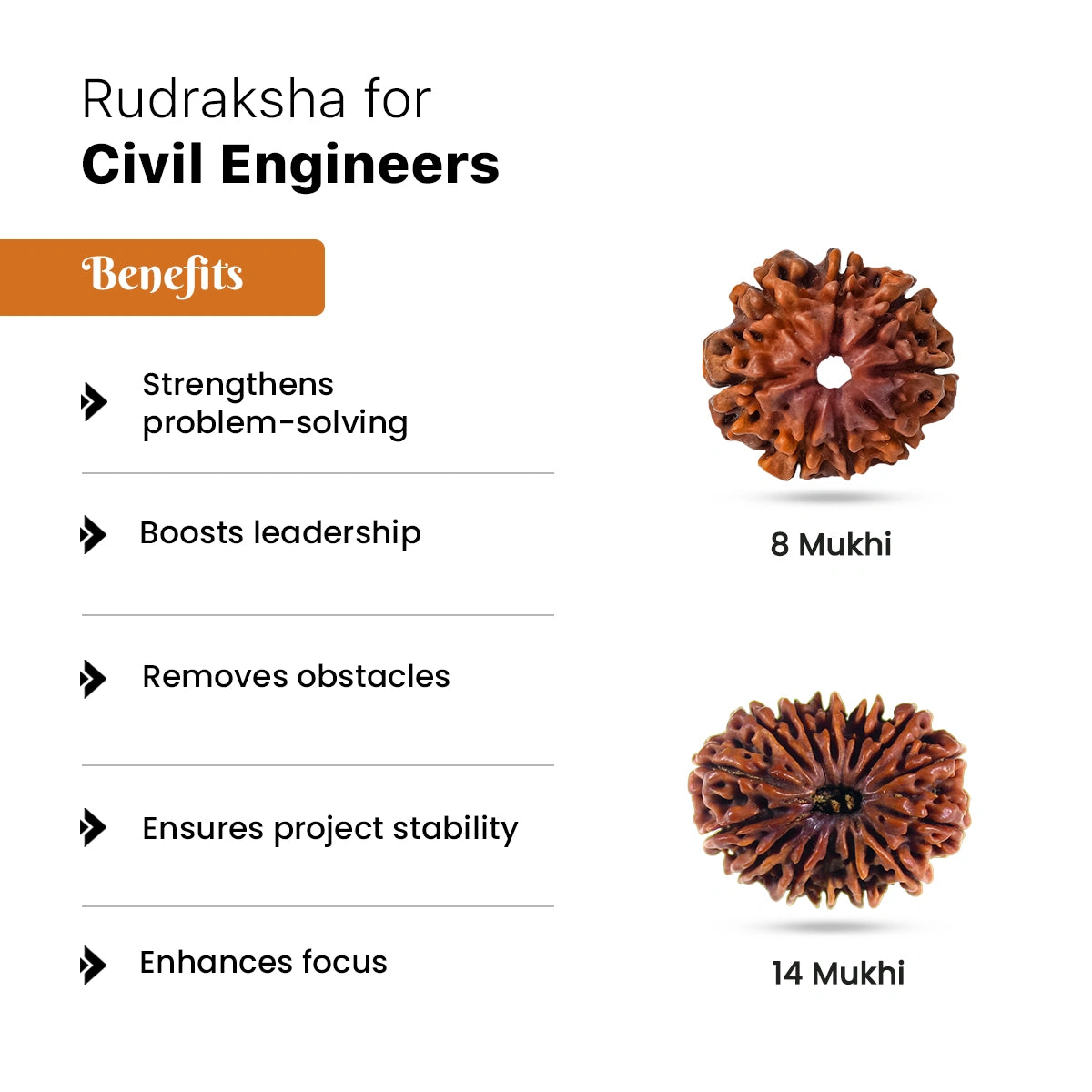 Rudraksha for Civil Engineers