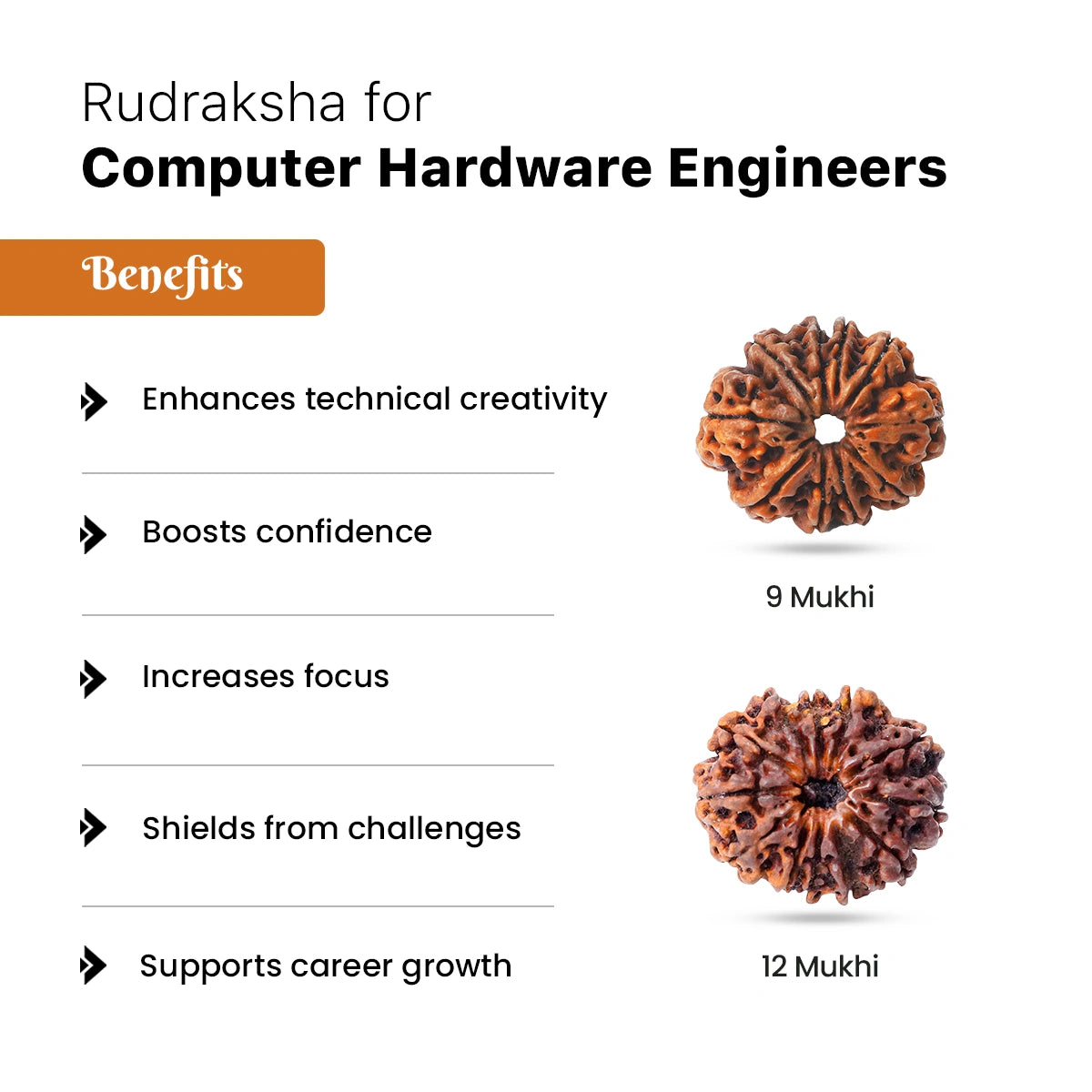 Rudraksha for Computer Hardware Engineers