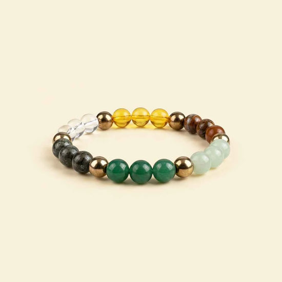 Dhan Yog Bracelet for wealth and financial growth by Acharya Lavbhushan
