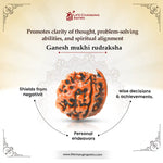 
                    
                      ganesh mukhi rudraksha acharya lavbhushan, ganesha rudraksha bead, obstacle remover rudraksha, wisdom clarity bead, shiva rudraksha, spiritual balance bead, vedic rudraksha, conscious living support
                    
                  