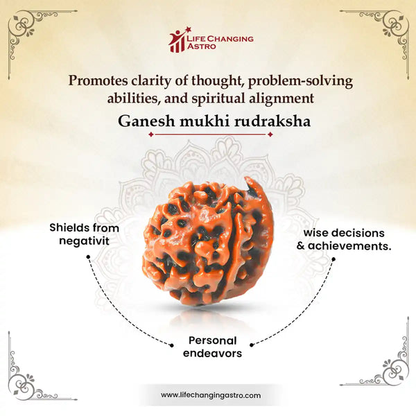 Ganesh Mukhi Rudraksha benefits