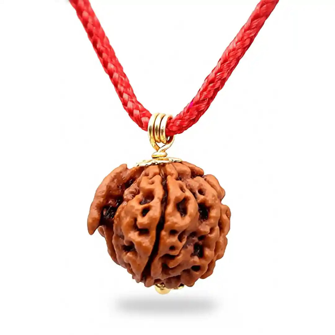 Ganesh Mukhi Rudraksha with pendent