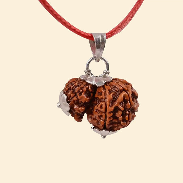 garbh gauri rudraksha acharya lavbhushan, garbh gauri bead, mother child rudraksha, shiva rudraksha, spiritual balance bead, nurturing energy symbol, vedic rudraksha, conscious living support