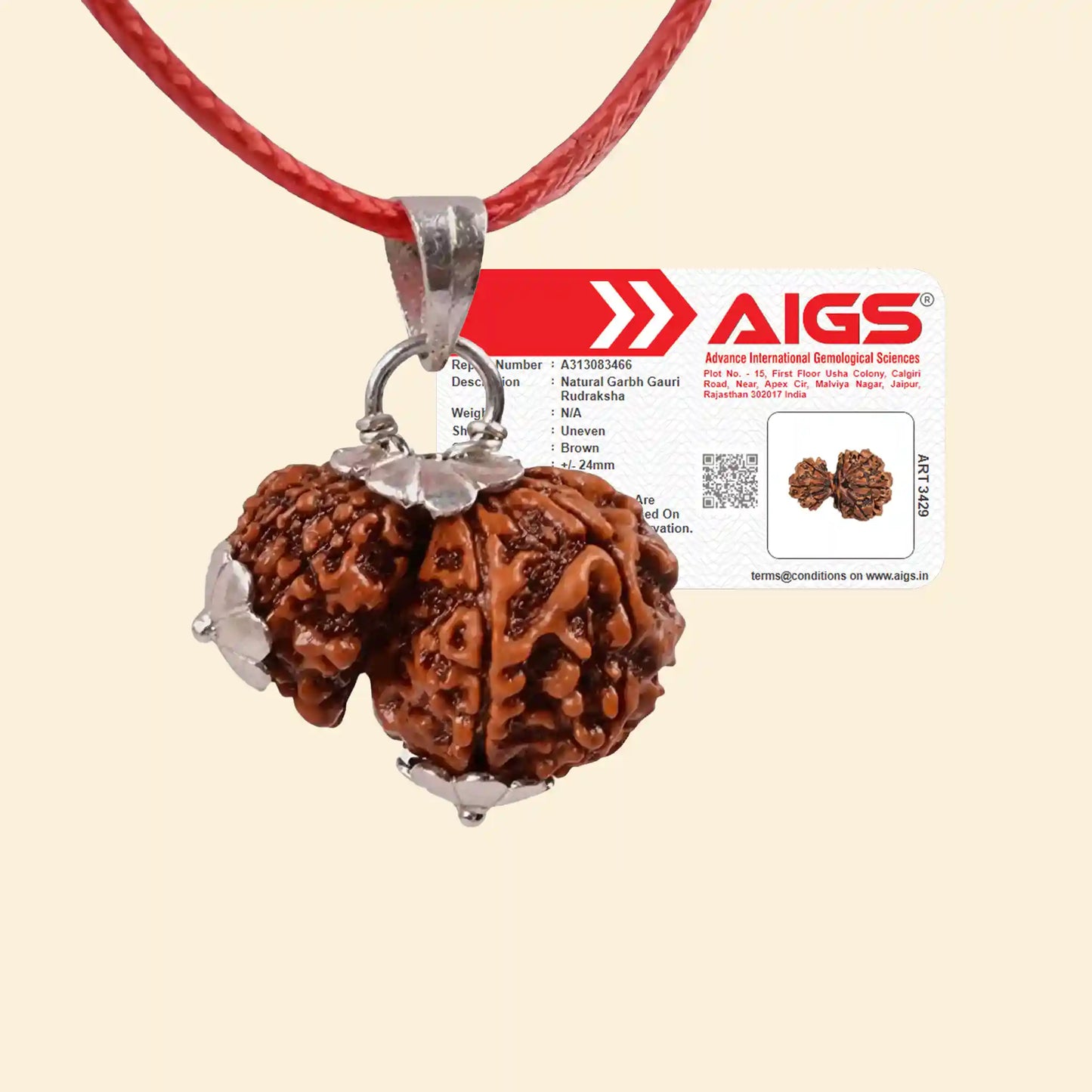 garbh gauri rudraksha acharya lavbhushan, garbh gauri bead, mother child rudraksha, shiva rudraksha, spiritual balance bead, nurturing energy symbol, vedic rudraksha, conscious living support