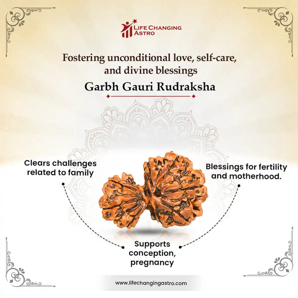 Garbh Gaur Rudraksha benefits