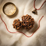 
                    
                      garbh gauri rudraksha acharya lavbhushan, garbh gauri bead, mother child rudraksha, shiva rudraksha, spiritual balance bead, nurturing energy symbol, vedic rudraksha, conscious living support
                    
                  