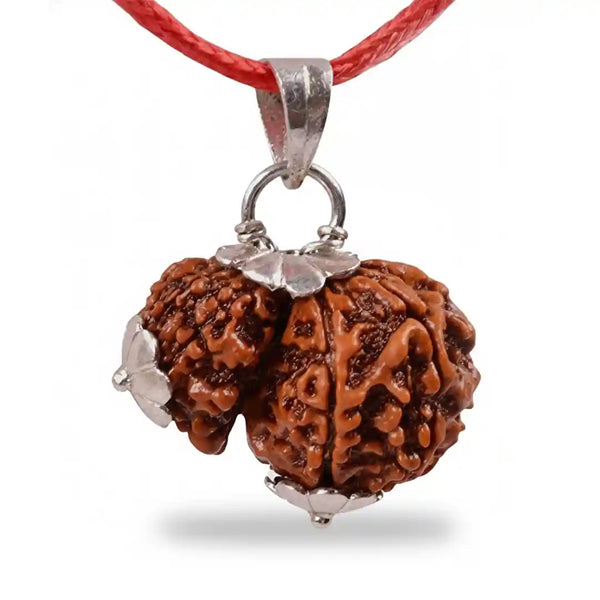 Garbh Gaur Rudraksha with pendent