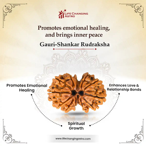 Gauri Shankar Rudraksha Benefits