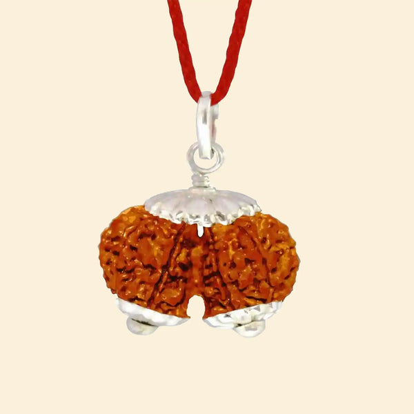 gauri shankar rudraksha acharya lavbhushan, shiva parvati rudraksha, union harmony bead, spiritual balance bead, shiva rudraksha, vedic rudraksha, conscious living support, sacred rudraksha