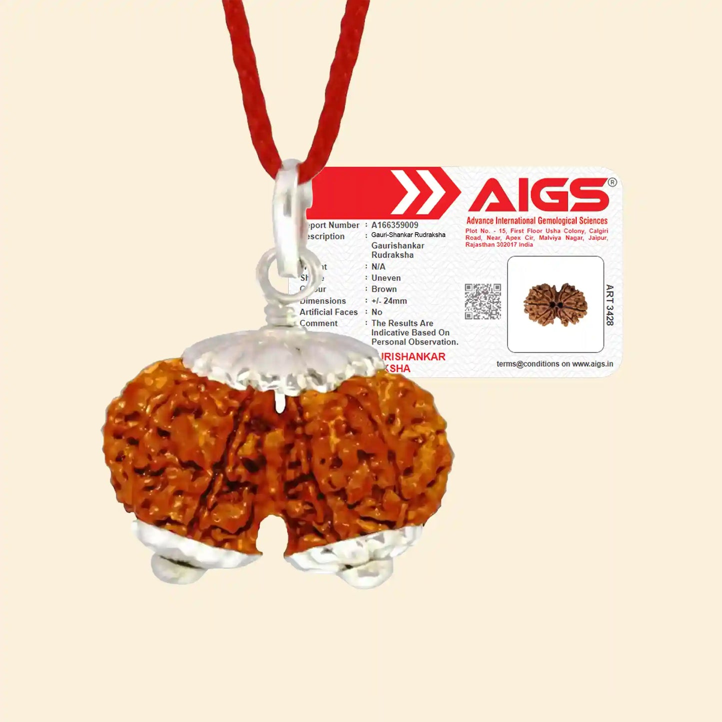 gauri shankar rudraksha acharya lavbhushan, shiva parvati rudraksha, union harmony bead, spiritual balance bead, shiva rudraksha, vedic rudraksha, conscious living support, sacred rudraksha