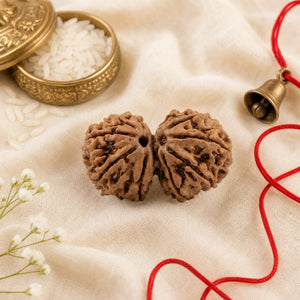 Gauri Shankar Rudraksha (Nepali) – Natural Joined Bead, Plain or Silver-Capped