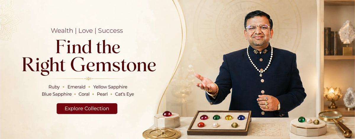Explore the collection