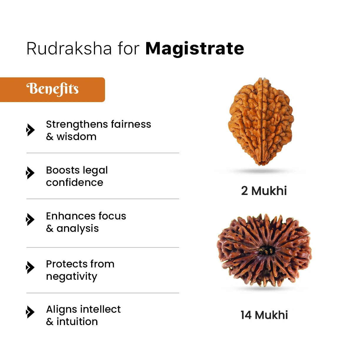 Rudraksha for Magistrate