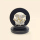 Money Magnet Ganesh Frame (Culture Marble)