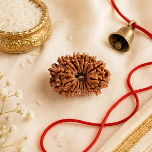 Original 15 Mukhi Rudraksha (Nepali) – Natural, Lab Certified