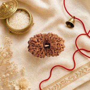 Original 17 Mukhi Rudraksha (Nepali) – Rare Lab Certified Bead for Vishnu Worship