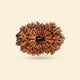 Original 18 Mukhi Rudraksha (Nepali)