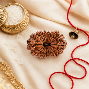 Original 18 Mukhi Rudraksha (Nepali) – Rare Lab Certified Bead for Durga Worship