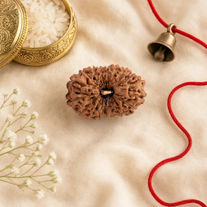 Original 19 Mukhi Rudraksha (Nepali) – Lab Certified Bead, Plain or Silver Pendant