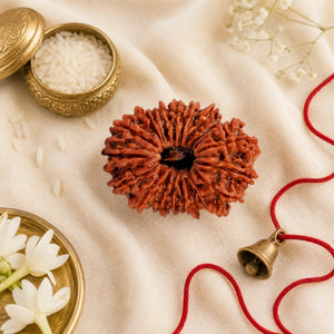 Original 21 Mukhi Rudraksha (Nepali) – Rare Bead, Plain or Silver-Capped